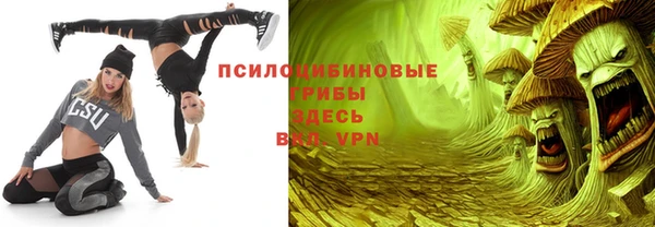 стафф Тайга